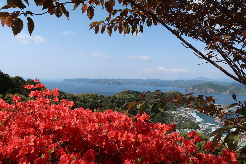 とんば山からの絶景