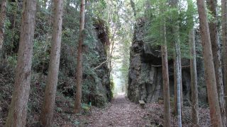 トロッコ道ウォーキング1