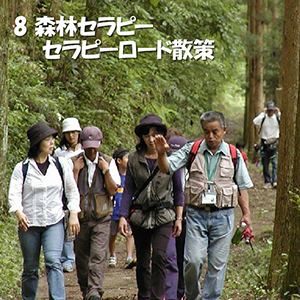 森林セラピー